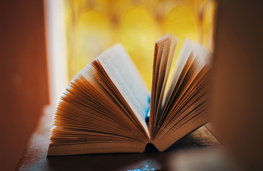 Opened Book, education, knowledge, literature, pages, study, publication HD wallpaper