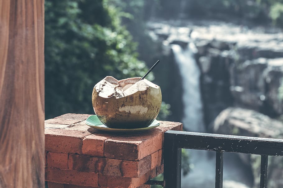 Brown Coconut, beverage, blur, bricks, cocktail, color, container HD wallpaper