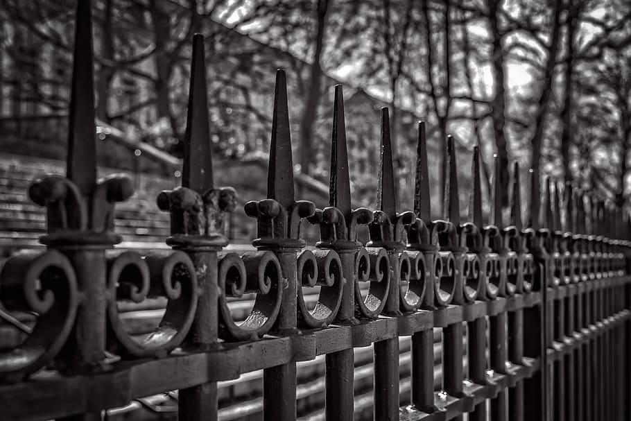 fence, iron, metal, grid, great, caution, curlicue, close up HD wallpaper
