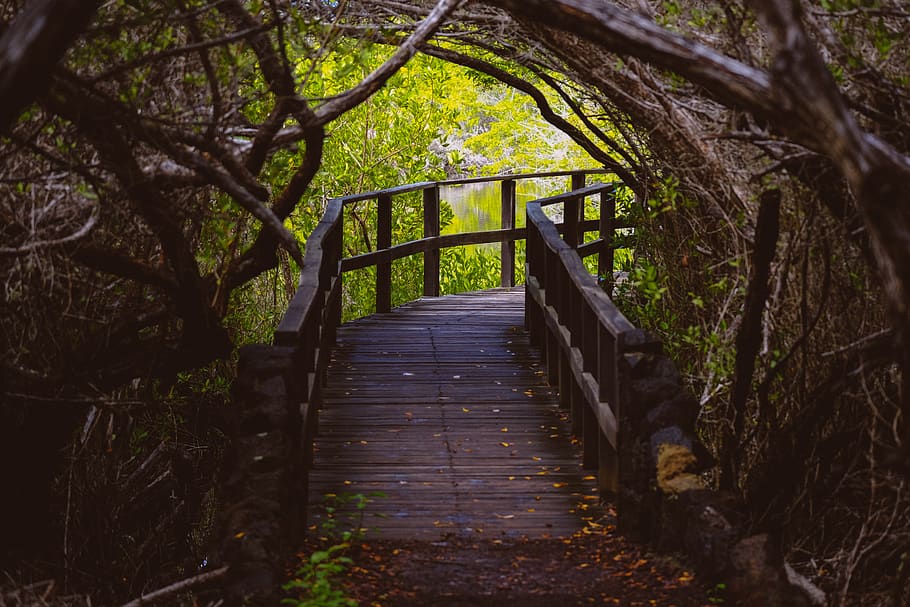 outdoors, garden, arbour, path, bridge, boardwalk, building HD wallpaper