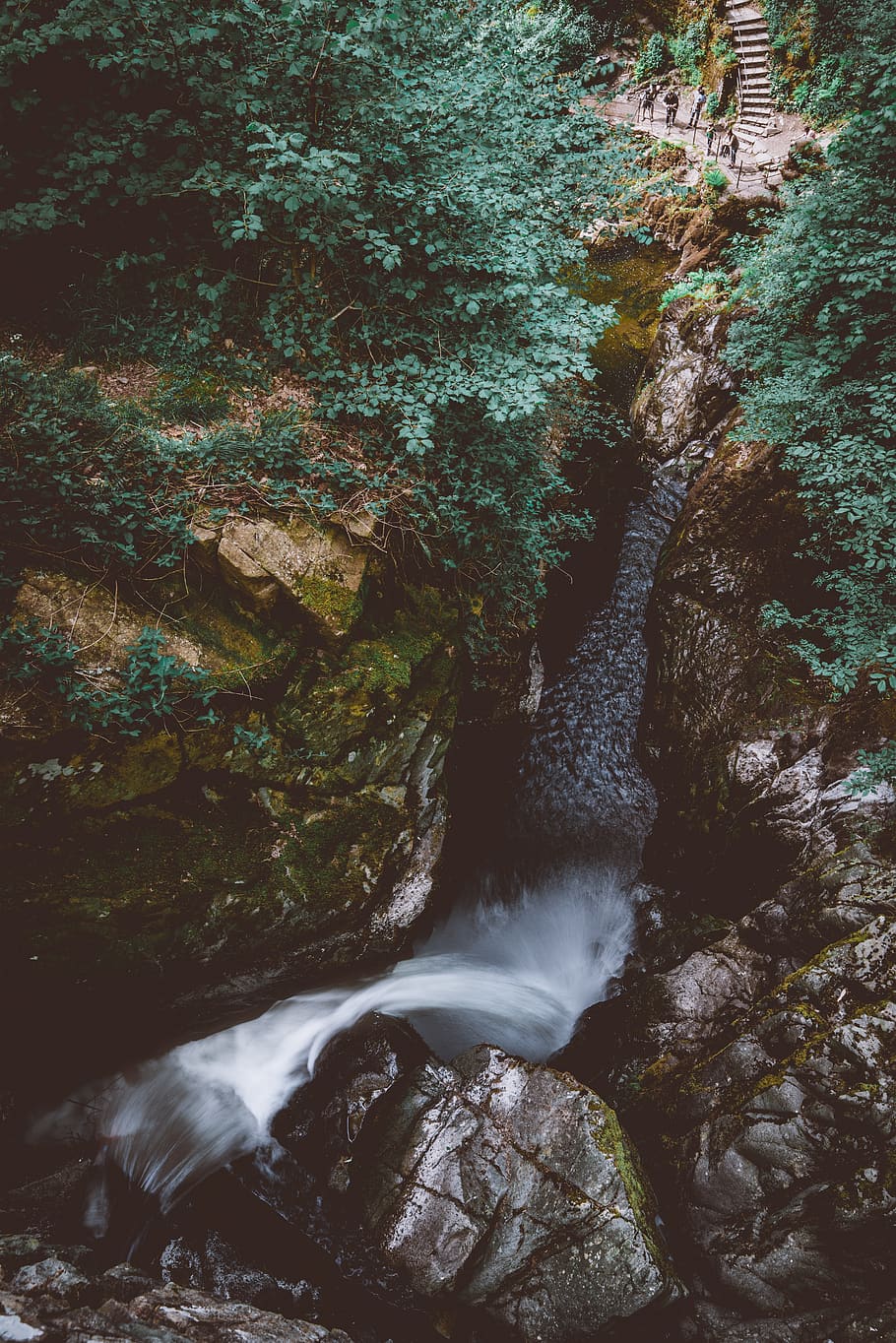 tree, nature, stream, river, vine, green, beautiful, boulder HD wallpaper