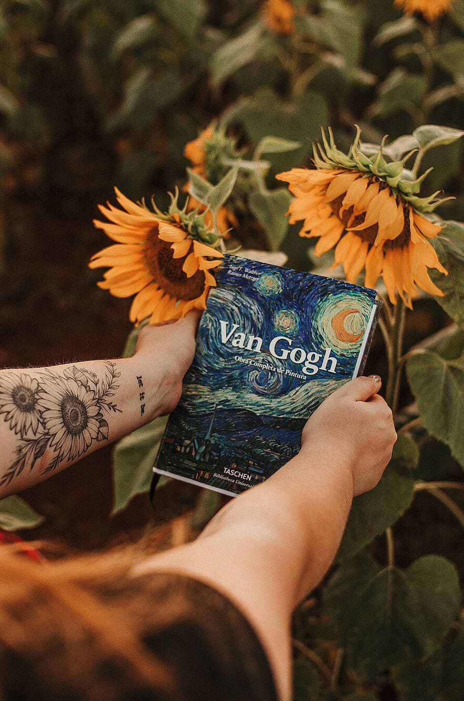 Person Holding Van Gogh Book Beside Sunflowers, beautiful, beautiful flowers, HD wallpaper