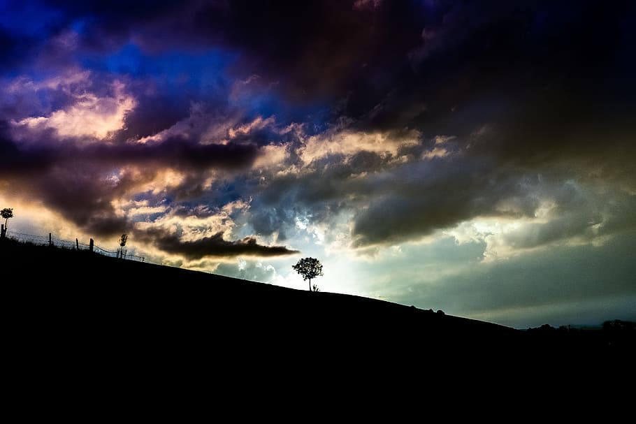 silhouette of tree on top of hill under cloudy sky, sunset, dusk HD wallpaper