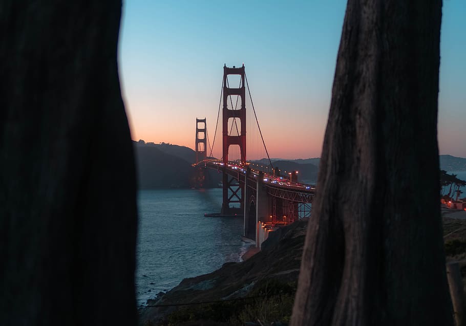 sky, water, nature, sunset, bridge, built structure, tree, transportation, HD wallpaper