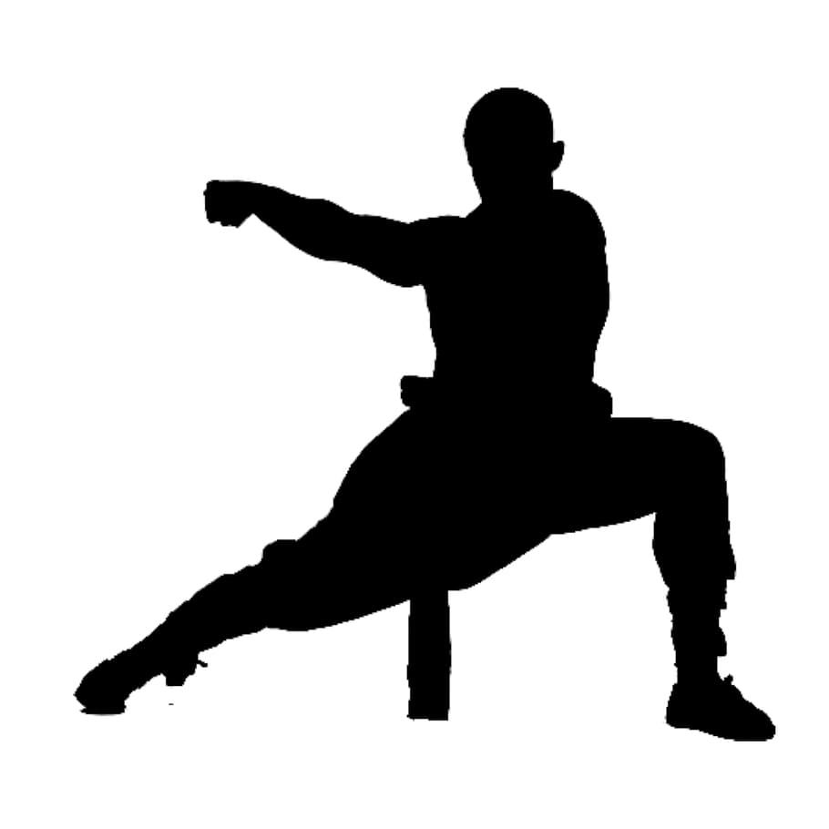 Silhouette of martial artist striking pose., kung fu, wushu, shaolin