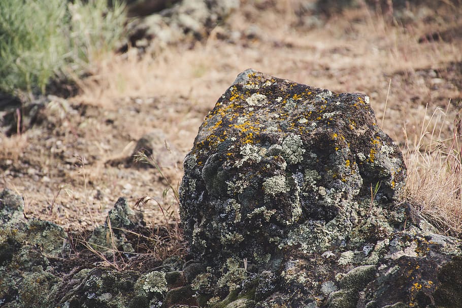 Gray Stone Fragment, colors, daylight, environment, grass, ground HD wallpaper