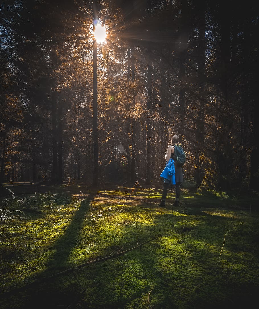 Woman Standing in Tree, backpack, daylight, daytime, environment HD wallpaper
