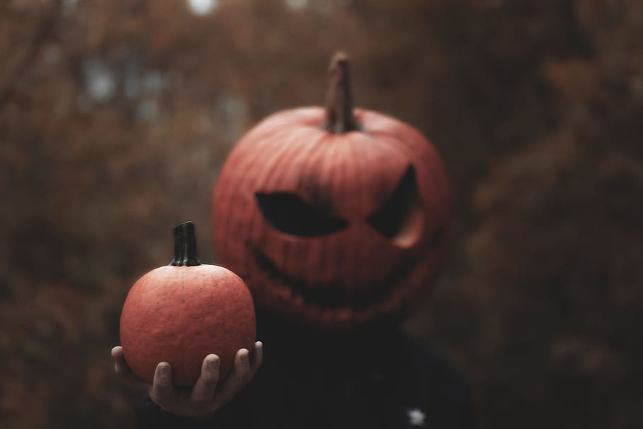 person wearing Jack-O-Lantern mask holding pumpkin, scary, forrest, HD wallpaper