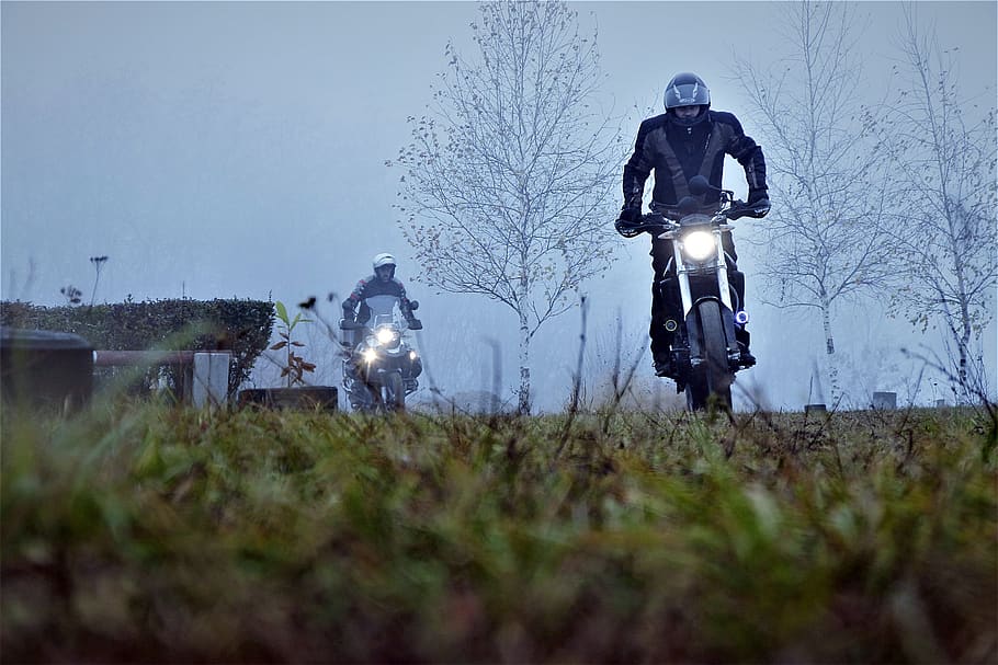 engine, off-road, atv, plant, mode of transportation, nature HD wallpaper