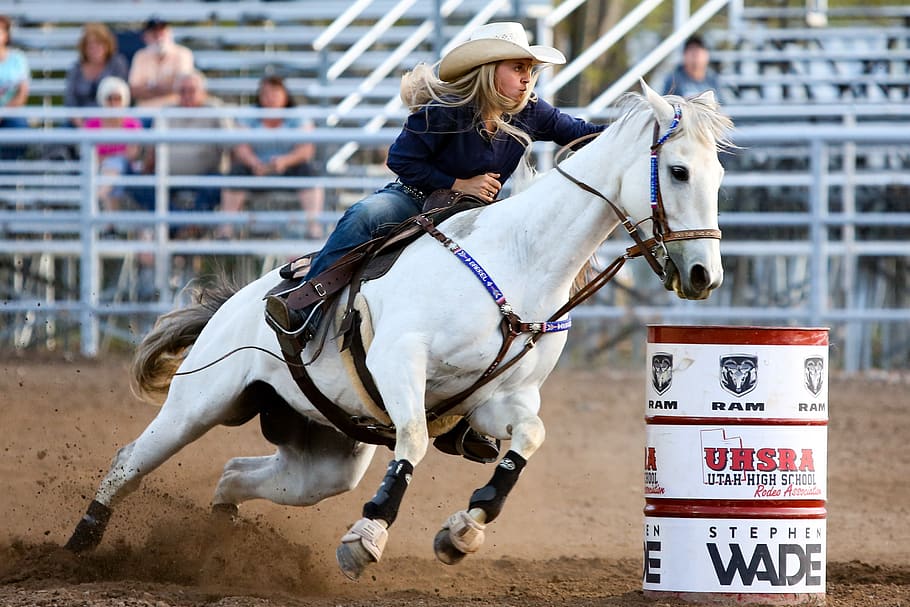 rodeo, horse, barrel, western, animal, co, cowgirl, trot, speed