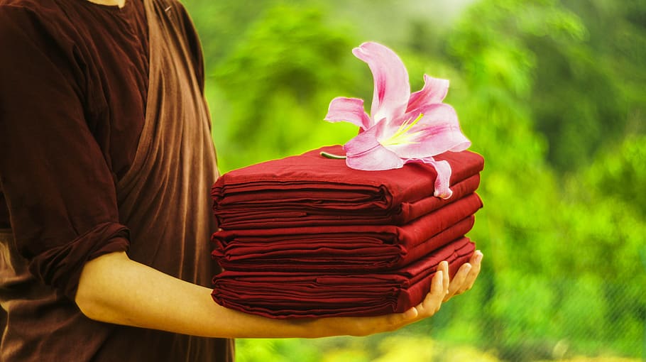 Close-up of Pink Flower, bloom, blossom, blur, cloth, garden HD wallpaper