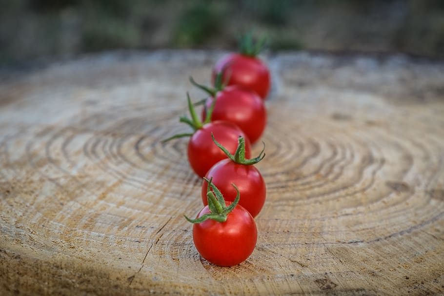 Red foods get you. Томат черри вишня красная. Little Cherry. Little Tomatoes, woman..