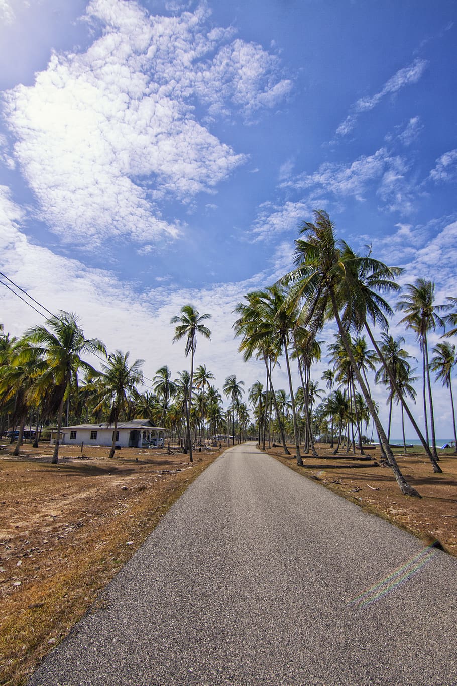 View of a Road Alongside Coconut Trees, blue sky, clouds, daylight HD wallpaper