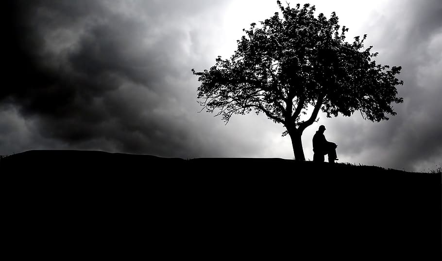 night, cloud, wait, think, tree, sky, dark, landscape, weather HD wallpaper