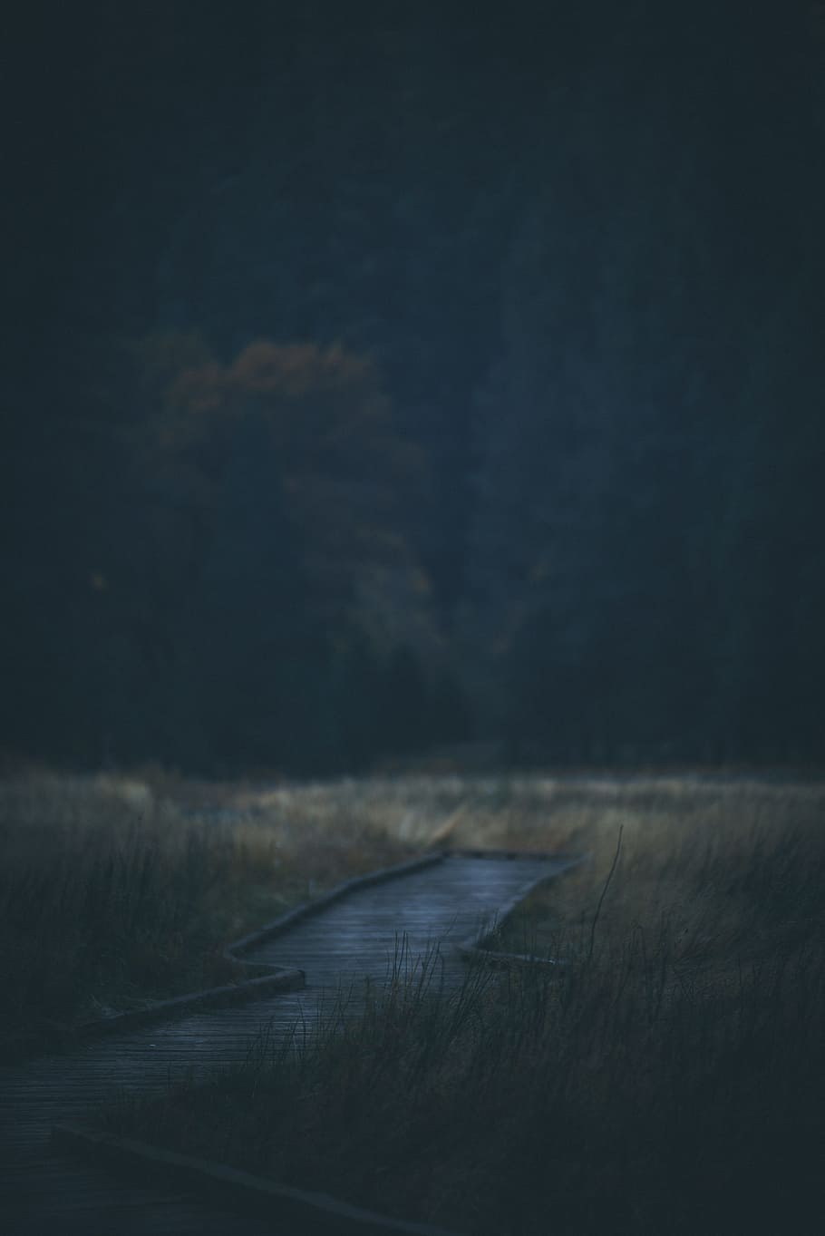 night, star, sky, wanderlust, explore, travel, adventure, moody HD wallpaper