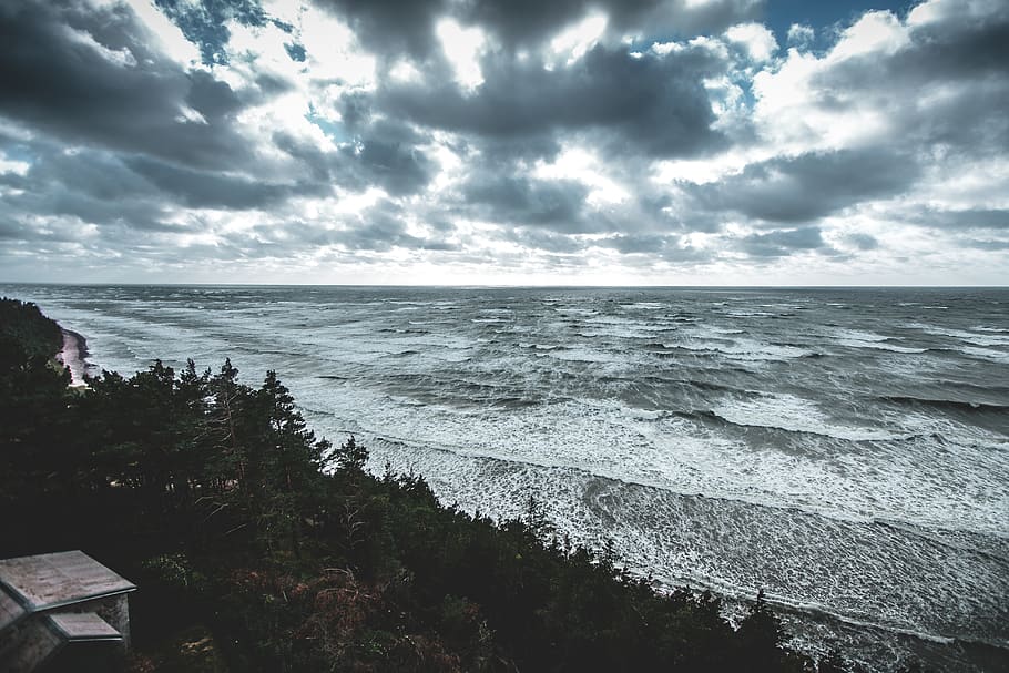 Sea, beach, clouds, cloudy skies, coast, daylight, forest, landscape HD wallpaper