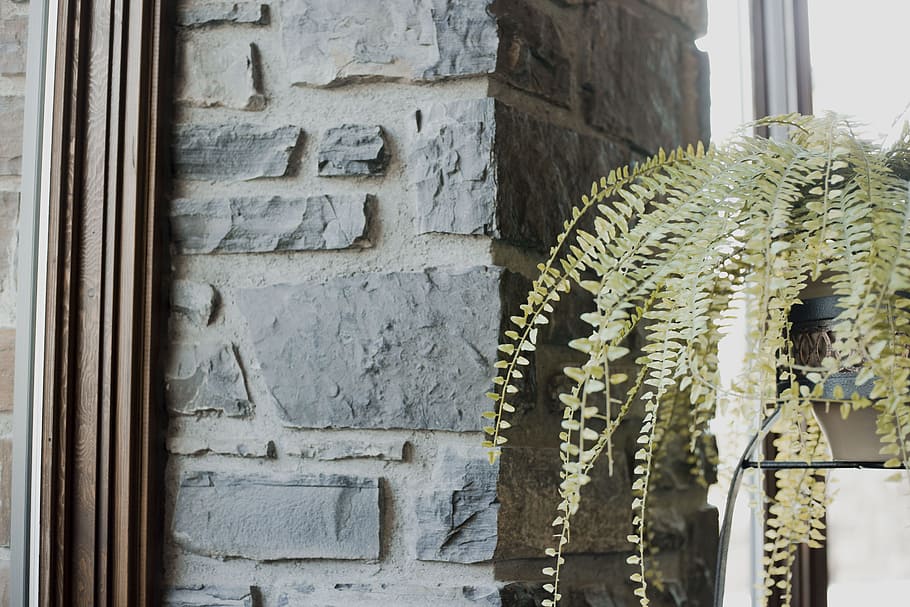 fern, architecture, lobby, bricks, plants, furniture, living room HD wallpaper