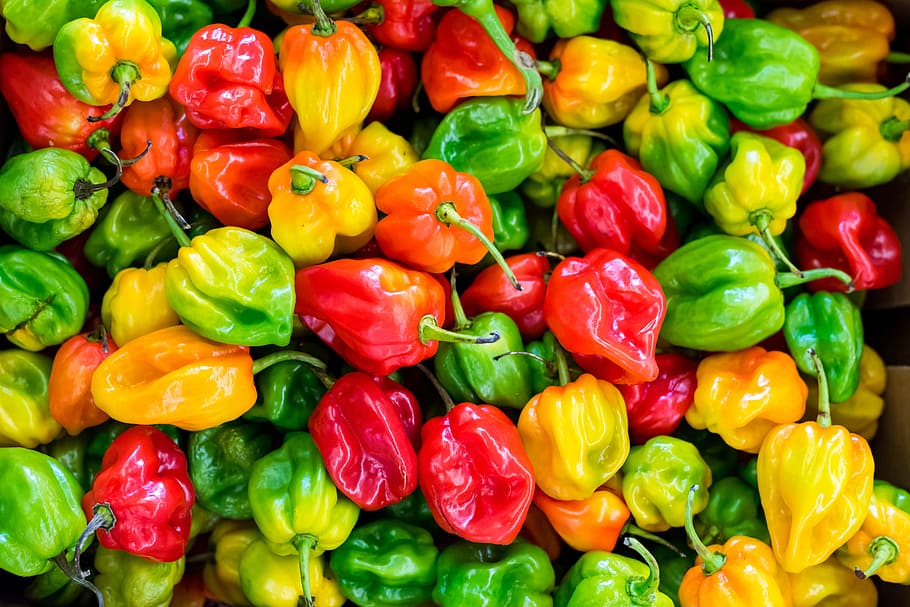 Pile of Chilies, capsicum, close-up, colorful, cooking, food