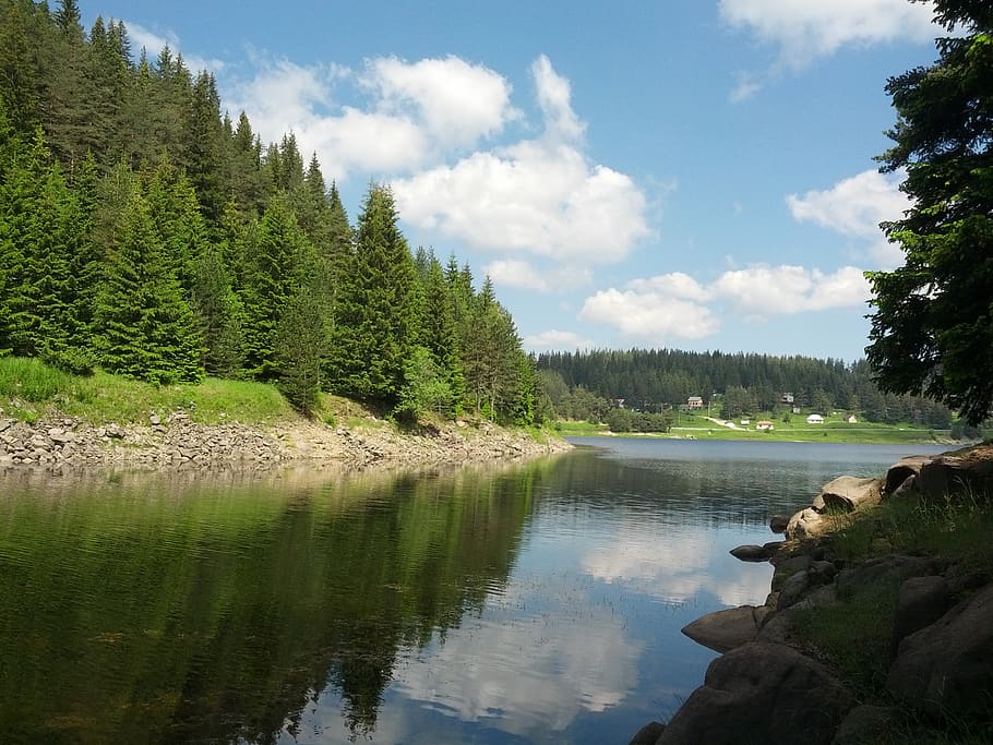 bulgaria, beglika, forest, water, tree, plant, scenics - nature HD wallpaper