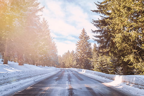 Beautiful winter weather and road in forest, tree, plant, cold temperature HD wallpaper