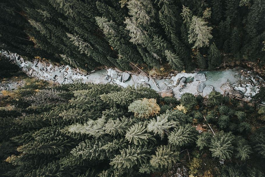 drone, river, wood, nature, trees, forest, flow, cold, overhead HD wallpaper