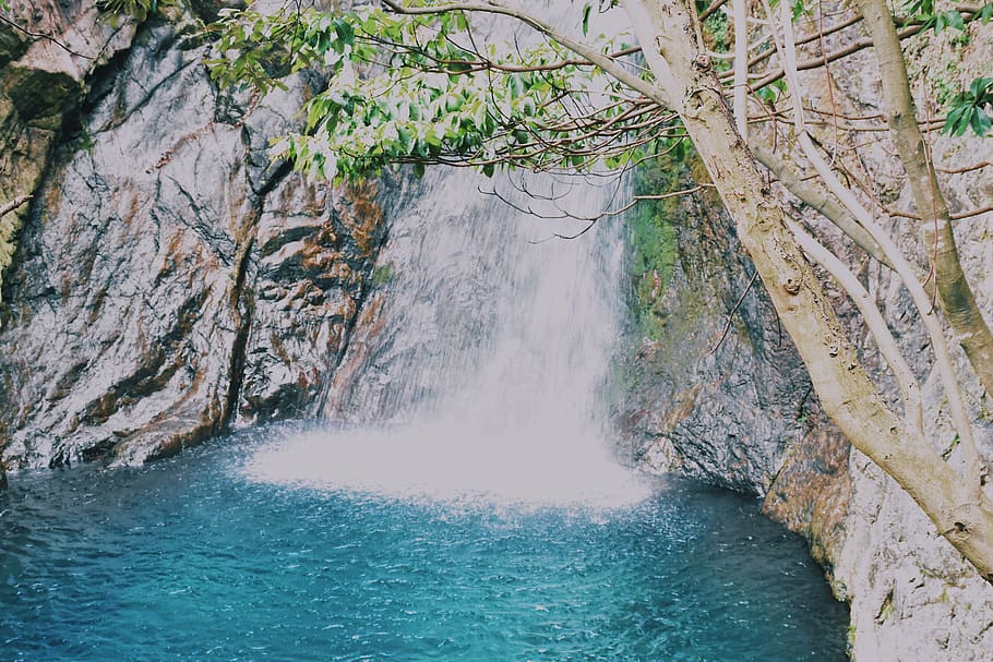water, beauty in nature, scenics - nature, tree, waterfall HD wallpaper