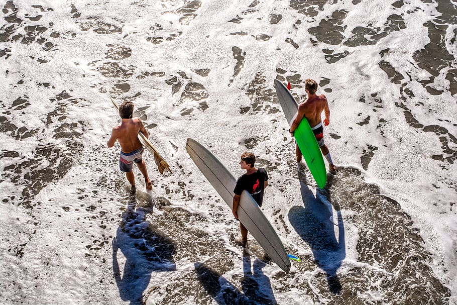 three men about to surf, water, sea, ocean, outdoors, nature HD wallpaper