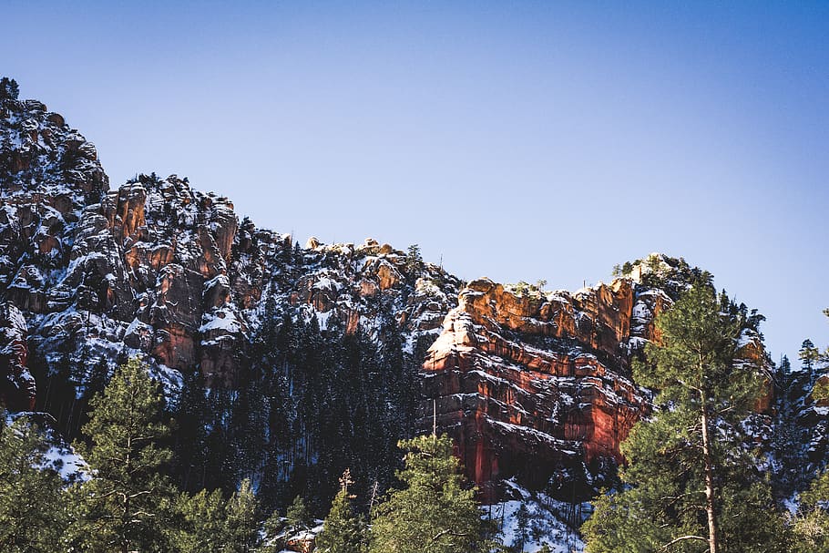 mountain surrounded by trees, plant, abies, fir, conifer, slide rock state park HD wallpaper