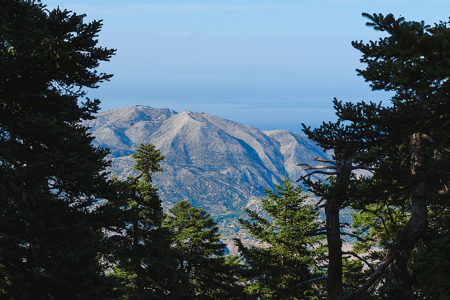 greece, mount ainos, forest, trees, height, mountain, plant