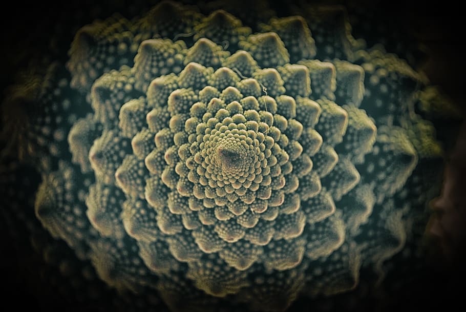 cauliflower, vegetable, green, spiral, macro, center, romanesco HD wallpaper