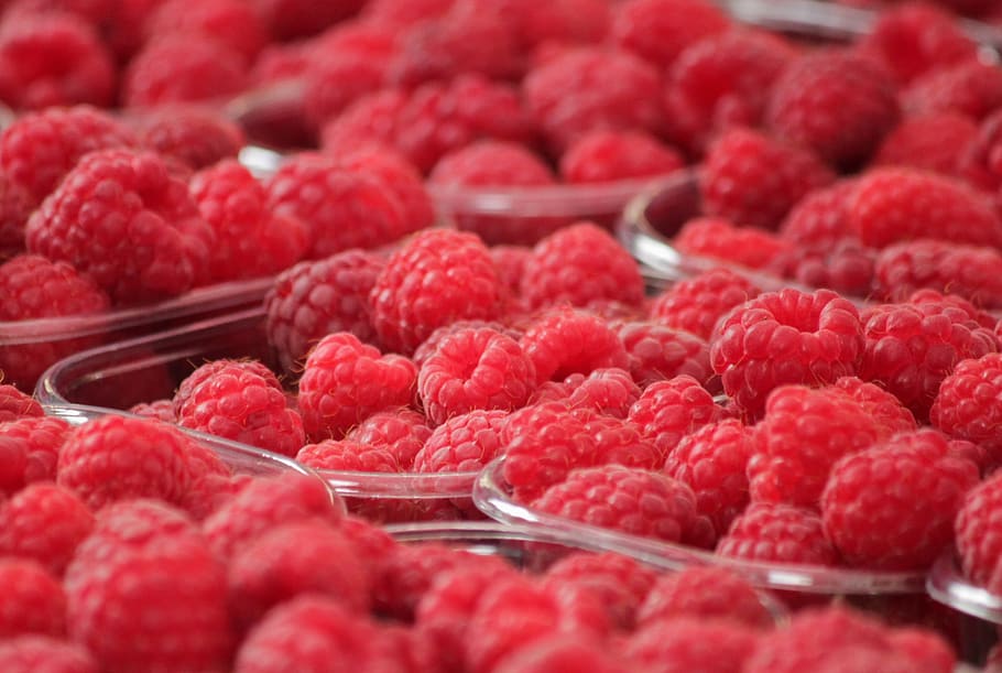Red Berries, bunch, close-up, delicious, food, fruit bowls, fruits HD wallpaper