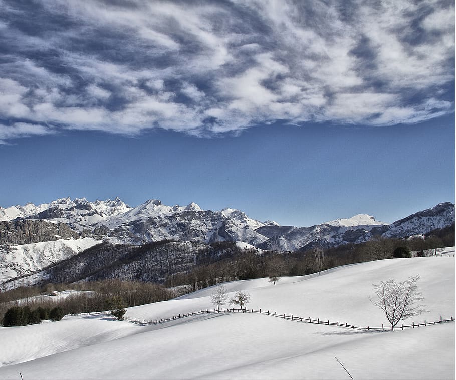 clouds, mountains, snow, winter, forest, sky, cold temperature HD wallpaper