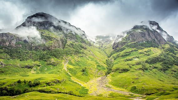 close up shot of grass covered mountain, path, cloud, mist, fog HD wallpaper