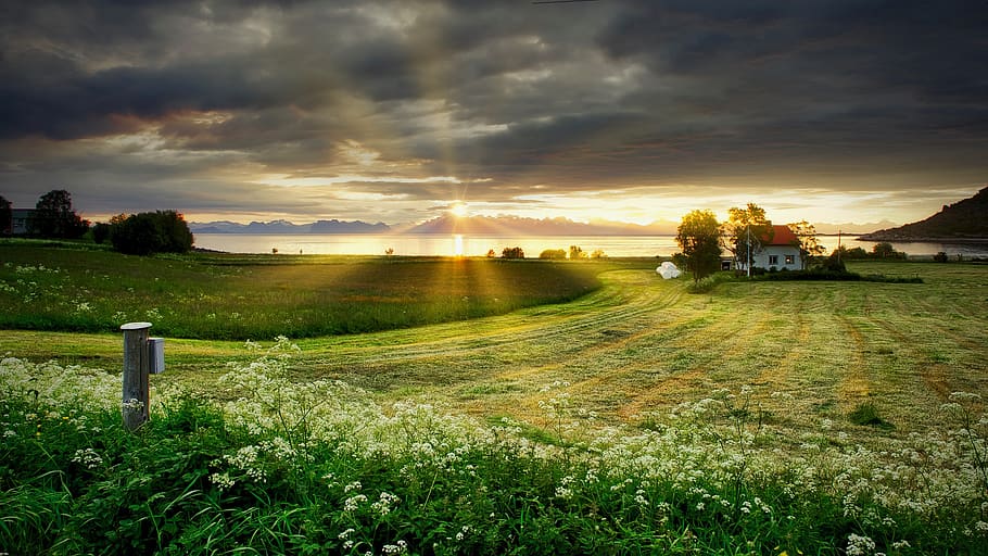 farm, sunset, grass, ocean, mountain, countryside, norway, sky HD wallpaper