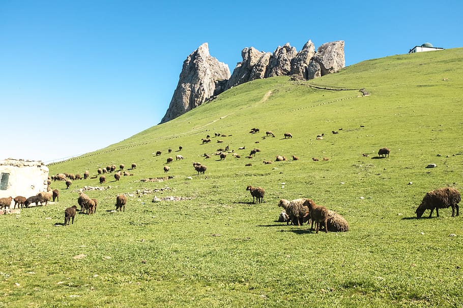 Alpine region of Azerbaijan