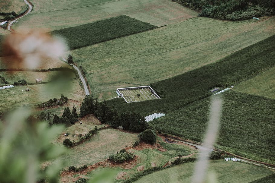 green field during daytime, portugal, são miguel island, grey HD wallpaper