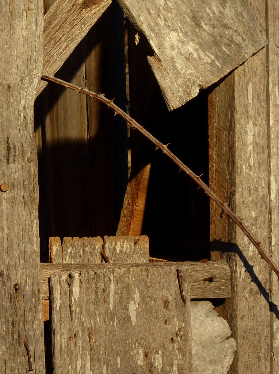 thorns, barn, wood, old, briars, shadow, abandoned, wood - material HD wallpaper