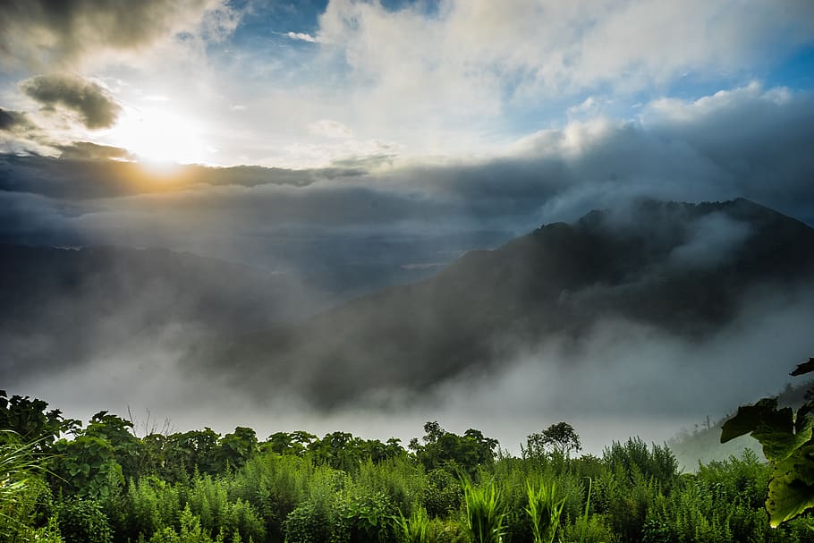 clouds, mountain, nice, forest, the hill, top, tree, ball, hdr HD wallpaper