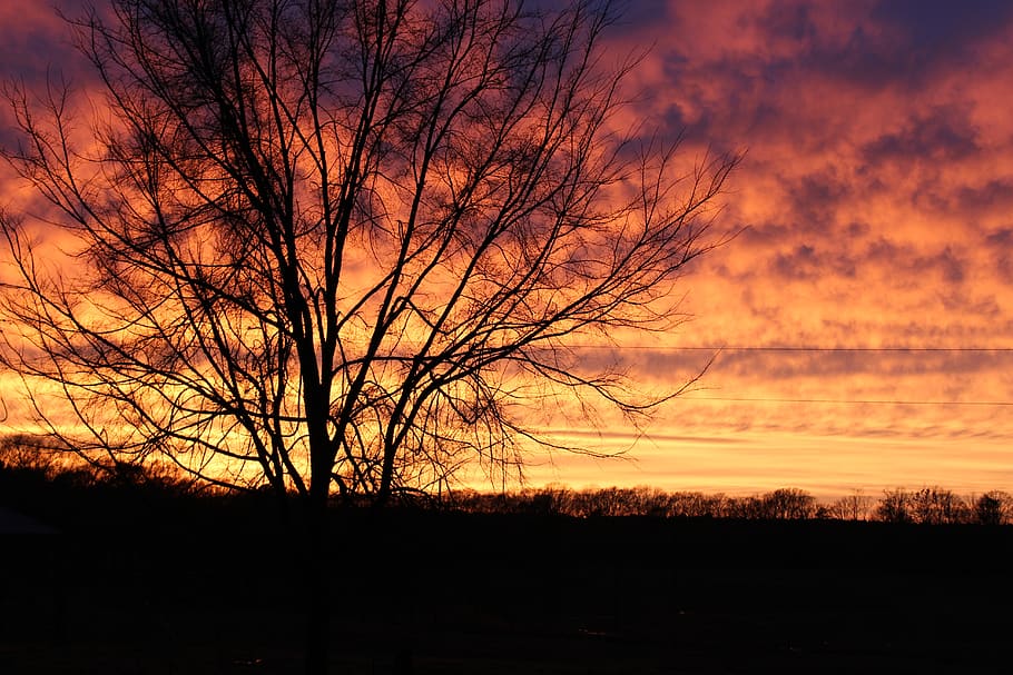 sunset, fall, autumn, landscape, trees, sky, orange, silhouette HD wallpaper