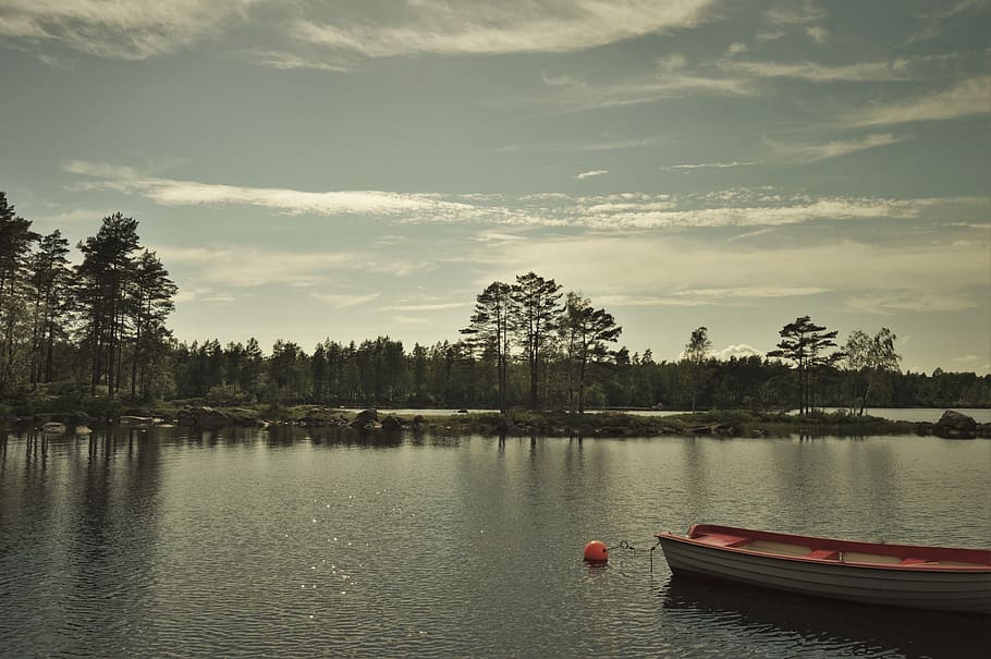 sweden, lake, tree, trees, forest, boat, sun, sunshine, cloud HD wallpaper