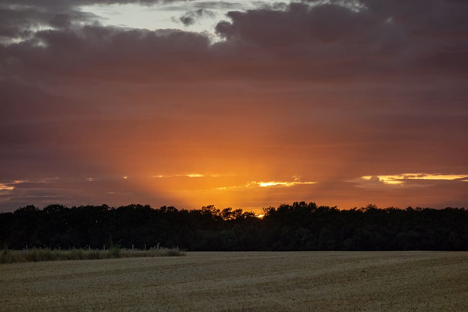 normandy, france, fields, sunset, dawn, twilight, orange, landscape HD wallpaper