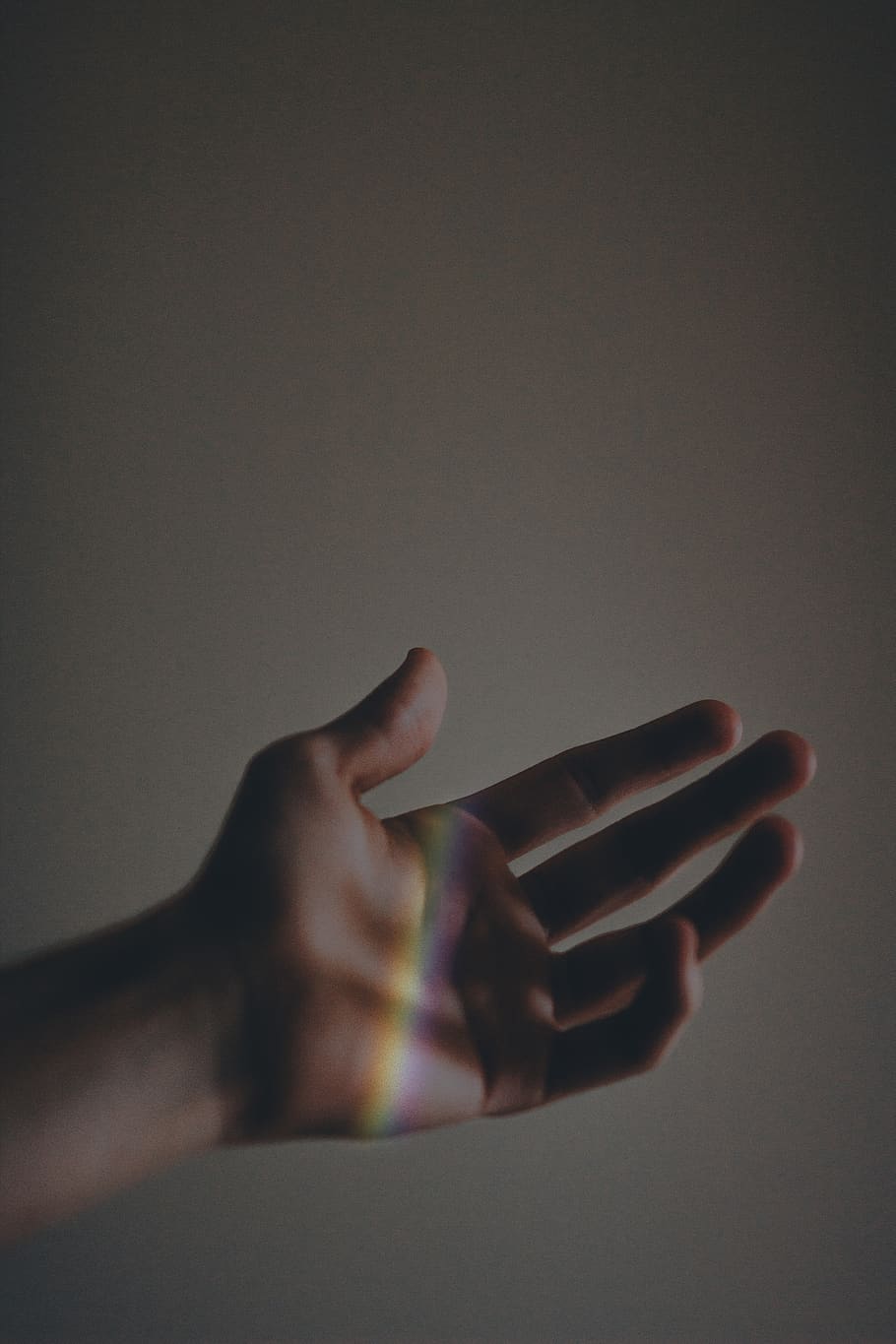 person showing left hand, human hand, human body part, one person HD wallpaper