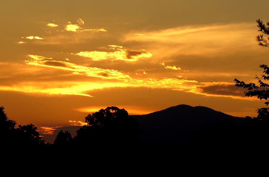 gold, sunset, woods, mountain, trees, summer, silhouette, beauty in nature HD wallpaper