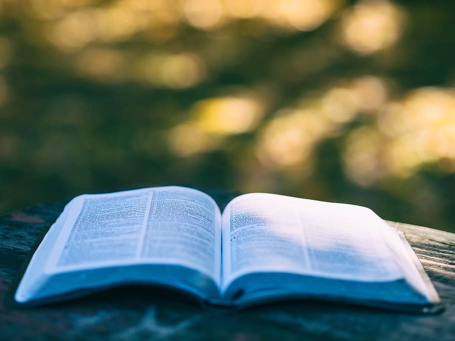 opened book selective focus photography, publication, page, reading HD wallpaper