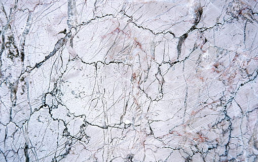 rock, marble, texture, granite, art, sketch, drawing, plant HD wallpaper