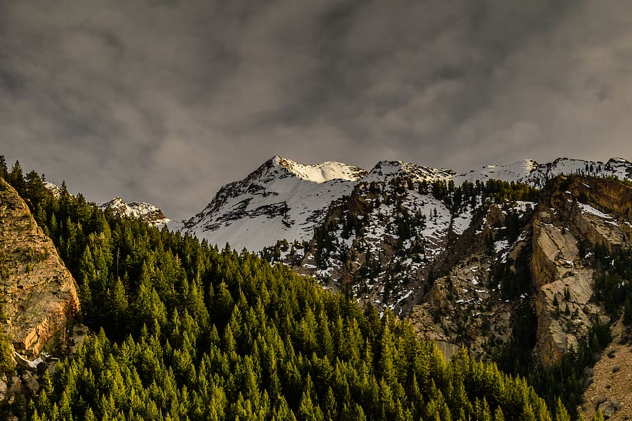 Brown Rocky Mountain Covered With Snow Near Green Trees Under Cloudy Sky HD wallpaper