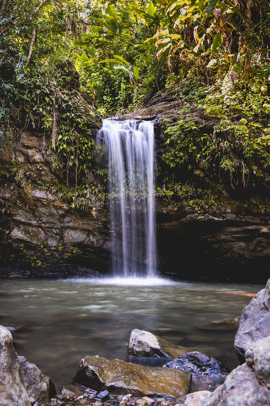 raging waterfalls, long exposure, scenics - nature, tree, motion HD wallpaper