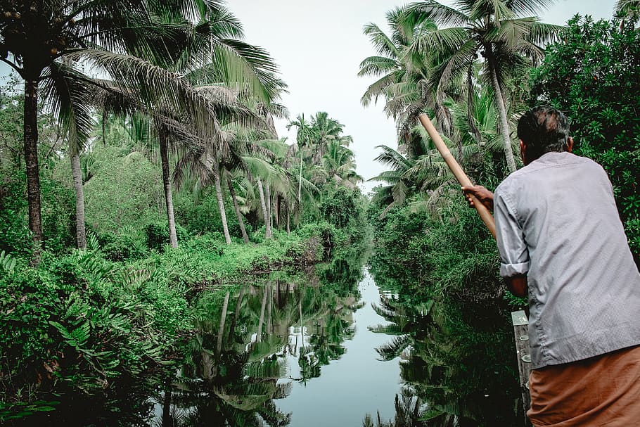 man holding bamboo pole while riding canoe, plant, vegetation HD wallpaper