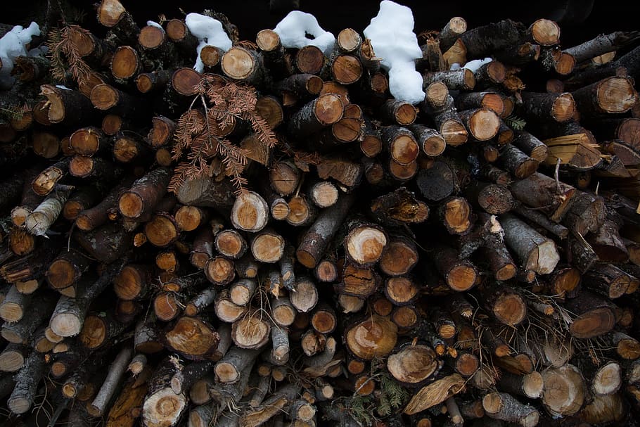 firewood lot, outdoor, winter, snow, large group of objects, log HD wallpaper
