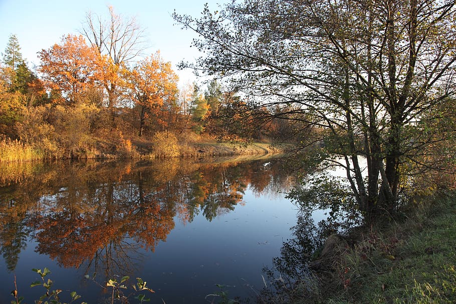 fall, river, landscape, nature, trees, water, landscapes, environment HD wallpaper